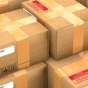 Shipping to USA - FEDEX Economy (9 days)